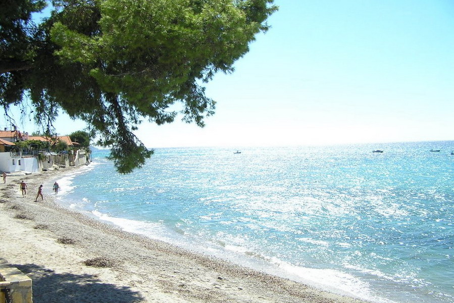  Mola Kaliva Kasandra 